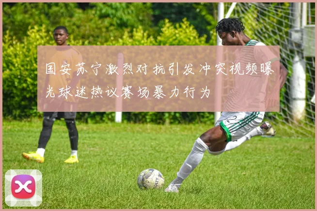 国安苏宁激烈对抗引发冲突视频曝光球迷热议赛场暴力行为