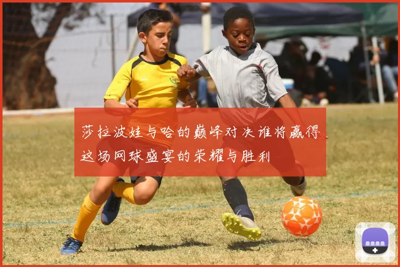 莎拉波娃与哈的巅峰对决谁将赢得这场网球盛宴的荣耀与胜利