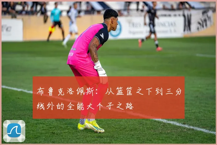 布鲁克洛佩斯：从篮筐之下到三分线外的全能大个子之路
