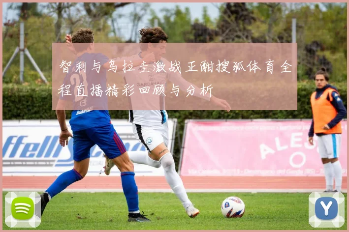 智利与乌拉圭激战正酣搜狐体育全程直播精彩回顾与分析