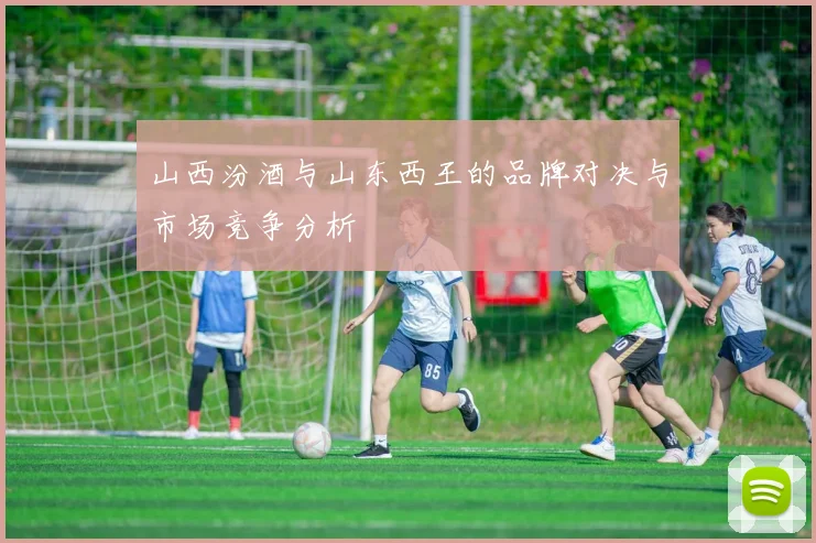 山西汾酒与山东西王的品牌对决与市场竞争分析