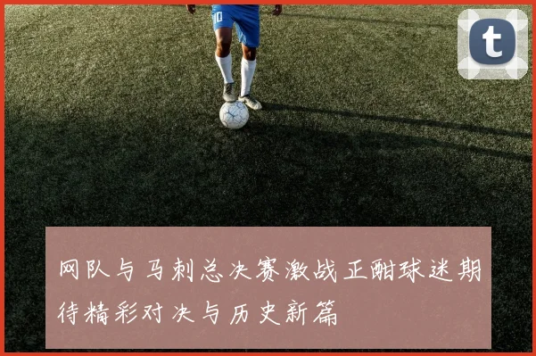 网队与马刺总决赛激战正酣球迷期待精彩对决与历史新篇