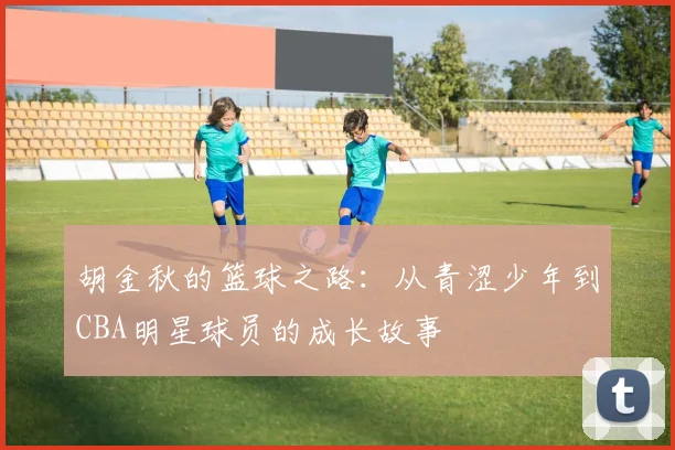 胡金秋的篮球之路：从青涩少年到CBA明星球员的成长故事