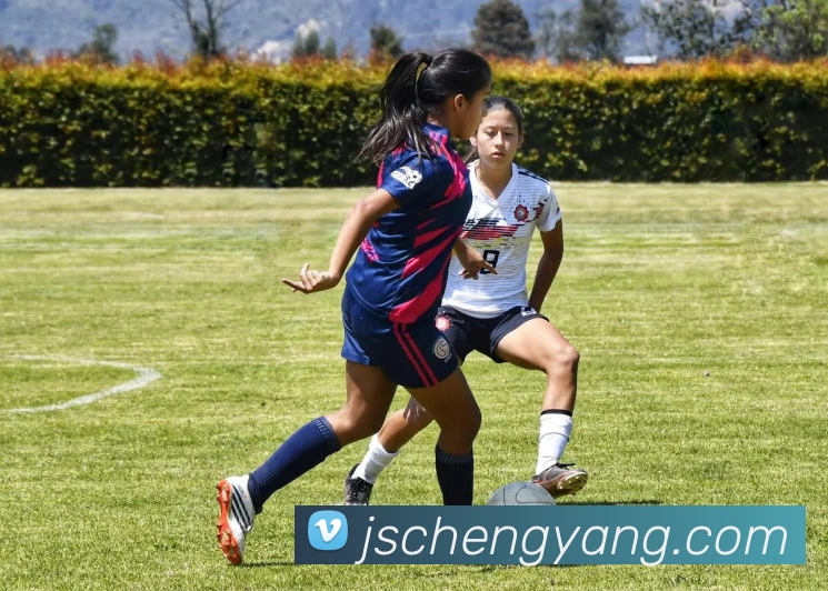体育赛事直播